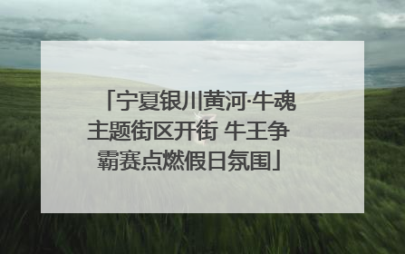 宁夏银川黄河·牛魂主题街区开街 牛王争霸赛点燃假日氛围