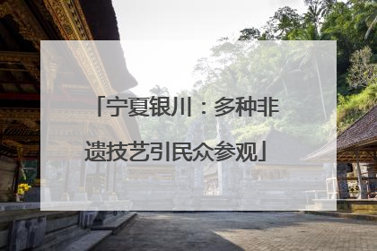 宁夏银川：多种非遗技艺引民众参观
