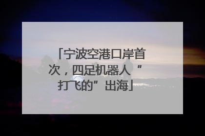 宁波空港口岸首次，四足机器人“打飞的”出海