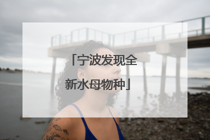 宁波发现全新水母物种