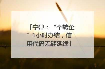 宁津：“个转企”1小时办结，信用代码无缝延续