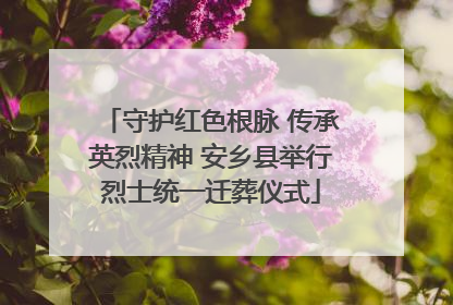 守护红色根脉 传承英烈精神 安乡县举行烈士统一迁葬仪式