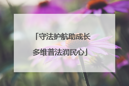 守法护航助成长 多维普法润民心