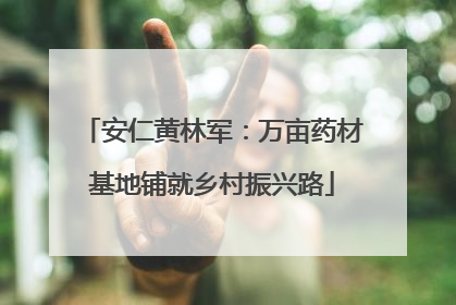 安仁黄林军：万亩药材基地铺就乡村振兴路