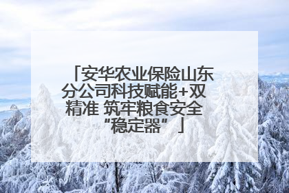 安华农业保险山东分公司科技赋能+双精准 筑牢粮食安全“稳定器”