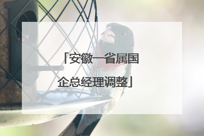 安徽一省属国企总经理调整