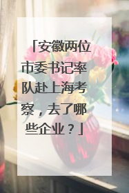 安徽两位市委书记率队赴上海考察，去了哪些企业？