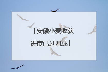 安徽小麦收获进度已过四成