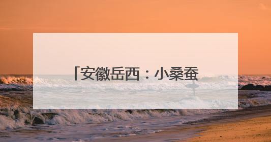 安徽岳西：小桑蚕“织”出大产业