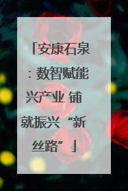 安康石泉：数智赋能兴产业 铺就振兴“新丝路”