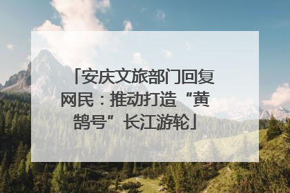 安庆文旅部门回复网民：推动打造“黄鹄号”长江游轮
