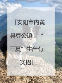 安阳市内黄县豆公镇：“三夏”生产有实招