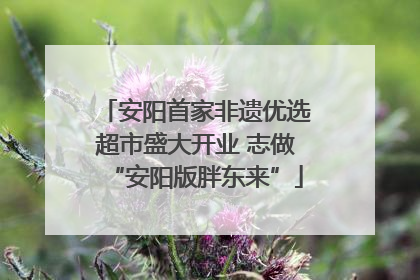 安阳首家非遗优选超市盛大开业 志做“安阳版胖东来”
