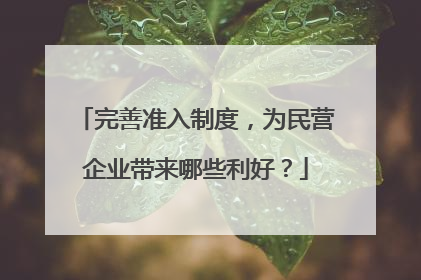 完善准入制度，为民营企业带来哪些利好？