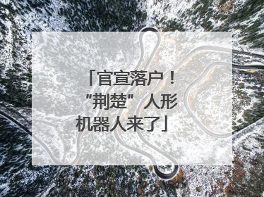 官宣落户！“荆楚”人形机器人来了