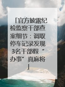 官方披露纪检监察干部查案细节：调取停车记录发现3名干部假“办事”真麻将