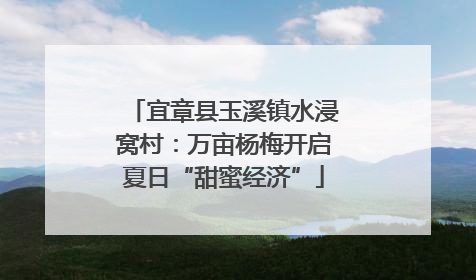 宜章县玉溪镇水浸窝村：万亩杨梅开启夏日“甜蜜经济”