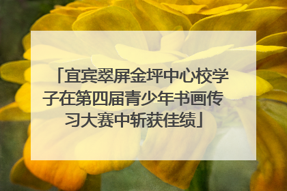 宜宾翠屏金坪中心校学子在第四届青少年书画传习大赛中斩获佳绩