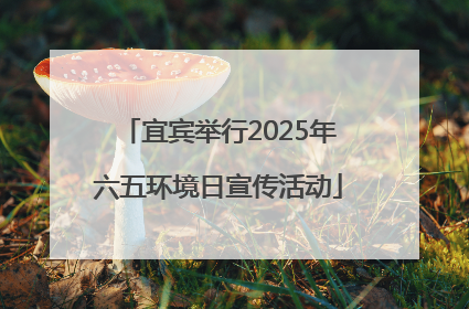 宜宾举行2025年六五环境日宣传活动