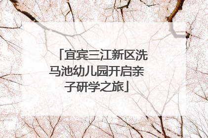 宜宾三江新区洗马池幼儿园开启亲子研学之旅