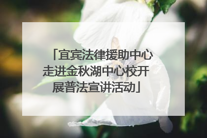 宜宾法律援助中心走进金秋湖中心校开展普法宣讲活动