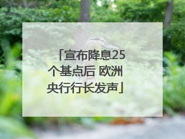 宣布降息25个基点后 欧洲央行行长发声