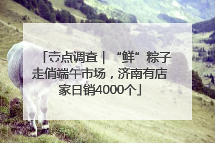 壹点调查｜“鲜”粽子走俏端午市场，济南有店家日销4000个