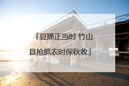 夏播正当时 竹山县抢抓农时保秋收