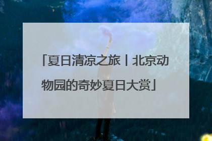 夏日清凉之旅丨北京动物园的奇妙夏日大赏