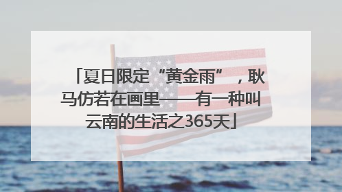 夏日限定“黄金雨”，耿马仿若在画里——有一种叫云南的生活之365天