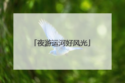 夜游运河好风光