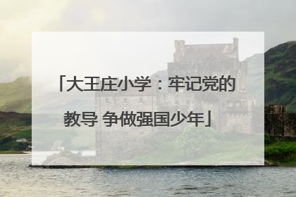 大王庄小学：牢记党的教导 争做强国少年