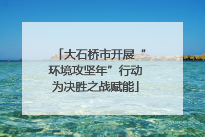 大石桥市开展“环境攻坚年”行动为决胜之战赋能