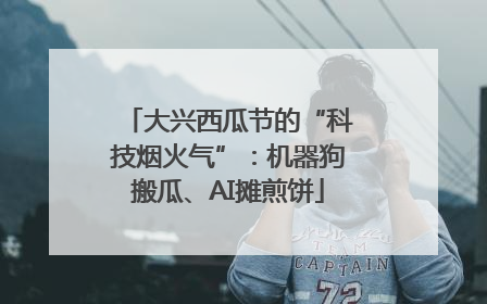 大兴西瓜节的“科技烟火气”：机器狗搬瓜、AI摊煎饼