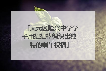 天元区隆兴中学学子用扭扭棒编织出独特的端午祝福