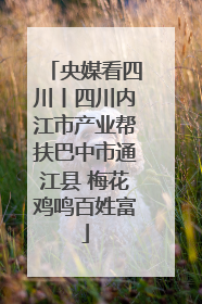 央媒看四川丨四川内江市产业帮扶巴中市通江县 梅花鸡鸣百姓富