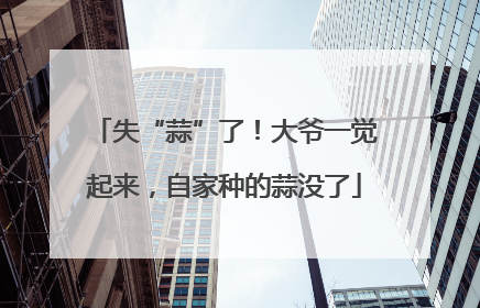 失“蒜”了！大爷一觉起来，自家种的蒜没了