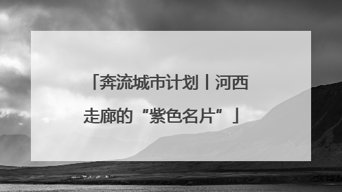 奔流城市计划丨河西走廊的“紫色名片”