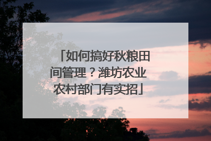 如何搞好秋粮田间管理？潍坊农业农村部门有实招