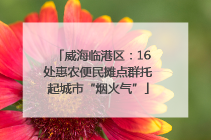威海临港区：16处惠农便民摊点群托起城市“烟火气”