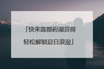 快来莲都碧湖赏荷 轻松解锁夏日浪漫