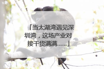 当太湖湾遇见深圳湾，这场产业对接干货满满……