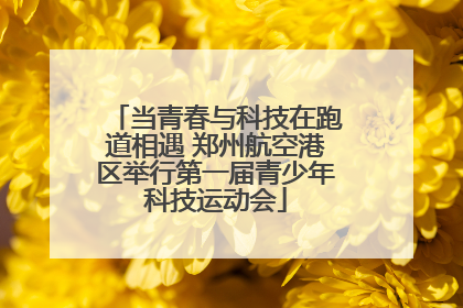 当青春与科技在跑道相遇 郑州航空港区举行第一届青少年科技运动会