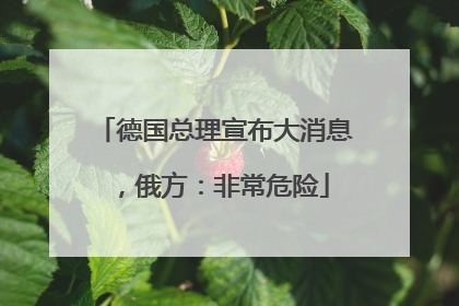 德国总理宣布大消息，俄方：非常危险