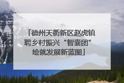 德州天衢新区赵虎镇聘乡村振兴“智囊团” 绘就发展新蓝图