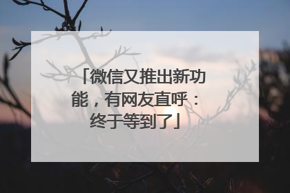 微信又推出新功能，有网友直呼：终于等到了