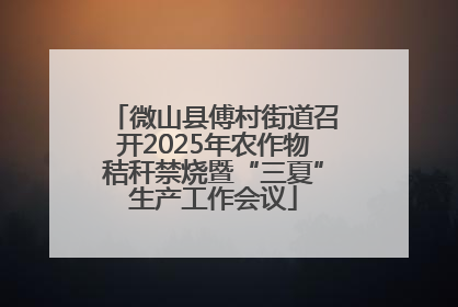 微山县傅村街道召开2025年农作物秸秆禁烧暨“三夏”生产工作会议
