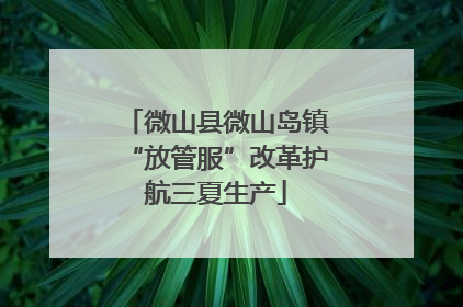 微山县微山岛镇“放管服”改革护航三夏生产
