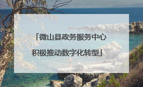 微山县政务服务中心积极推动数字化转型