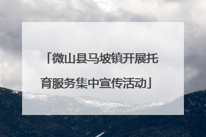 微山县马坡镇开展托育服务集中宣传活动
